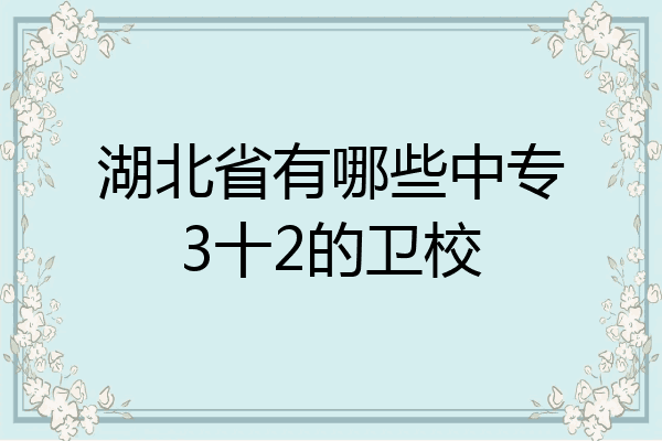 湖北省有哪些中专3十2的卫校