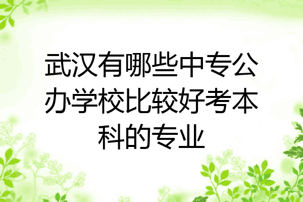 武汉有哪些中专公办学校比较好考本科的专业