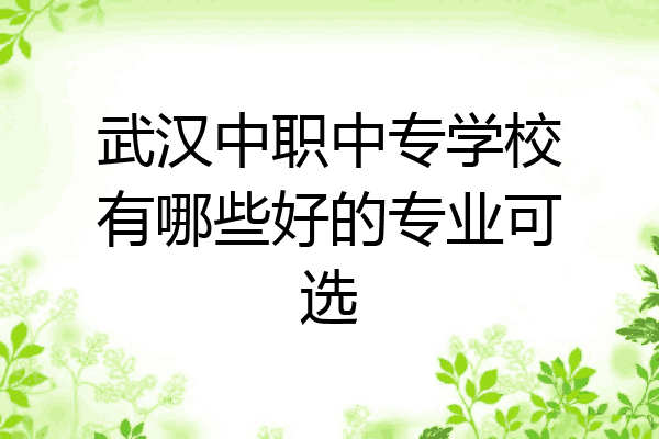 武汉中职中专学校有哪些好的专业可选