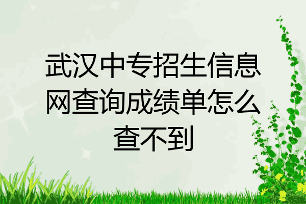 武汉中专招生信息网查询成绩单怎么查不到