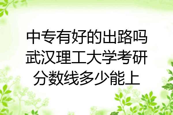 中专有好的出路吗武汉理工大学考研分数线多少能上