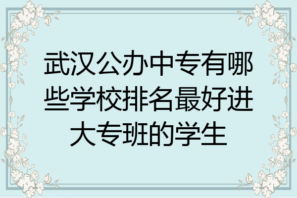 武汉公办中专有哪些学校排名最好进大专班的学生