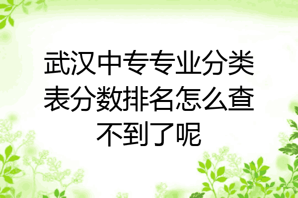 武汉中专专业分类表分数排名怎么查不到了呢