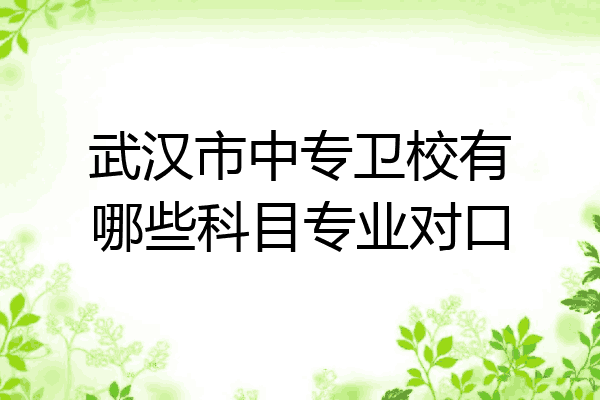 武汉市中专卫校有哪些科目专业对口