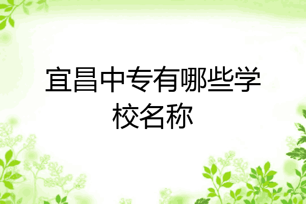 宜昌中专有哪些学校名称