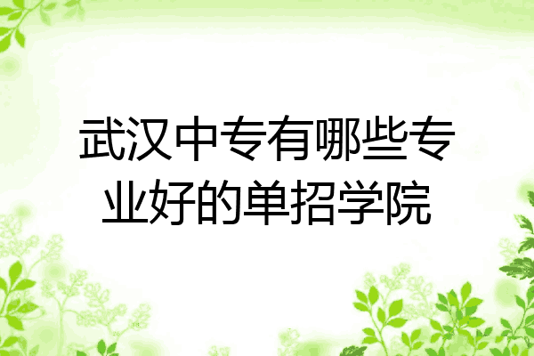 武汉中专有哪些专业好的单招学院