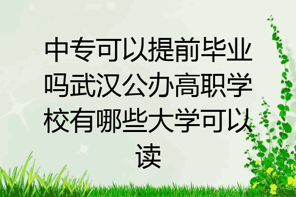 中专可以提前毕业吗武汉公办高职学校有哪些大学可以读