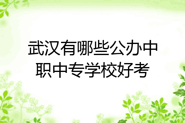 武汉有哪些公办中职中专学校好考
