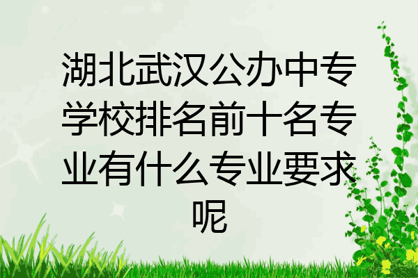 湖北武汉公办中专学校排名前十名专业有什么专业要求呢
