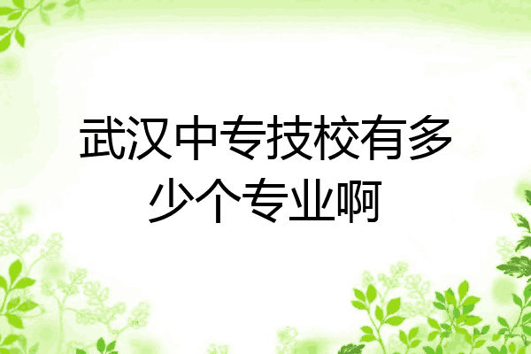 武汉中专技校有多少个专业啊