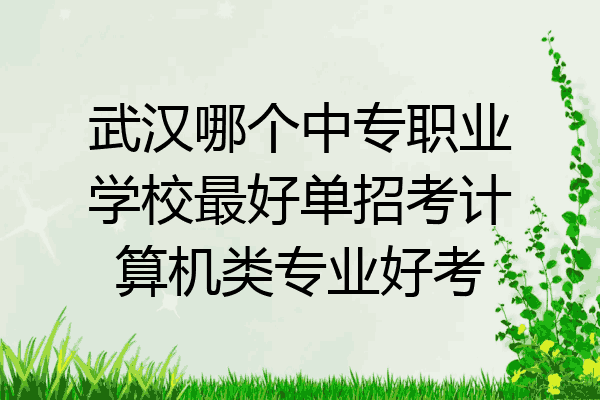 武汉哪个中专职业学校最好单招考计算机类专业好考