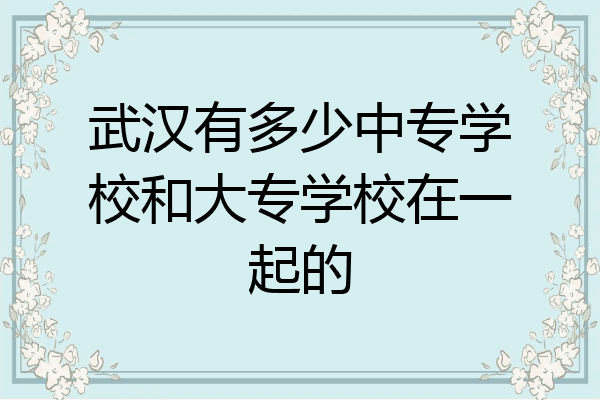 武汉有多少中专学校和大专学校在一起的