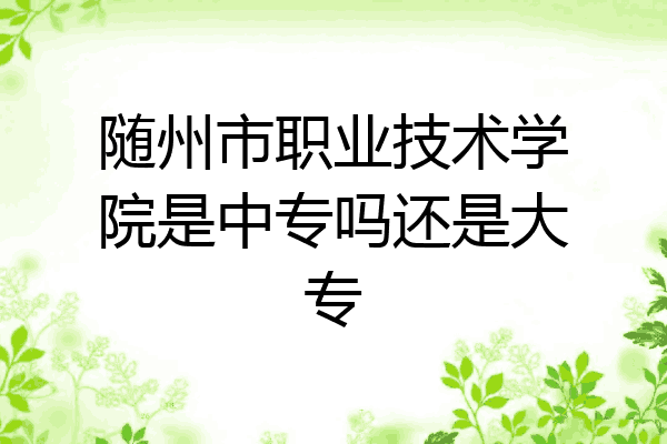 随州市职业技术学院是中专吗还是大专