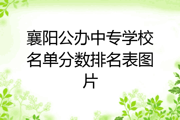 襄阳公办中专学校名单分数排名表图片