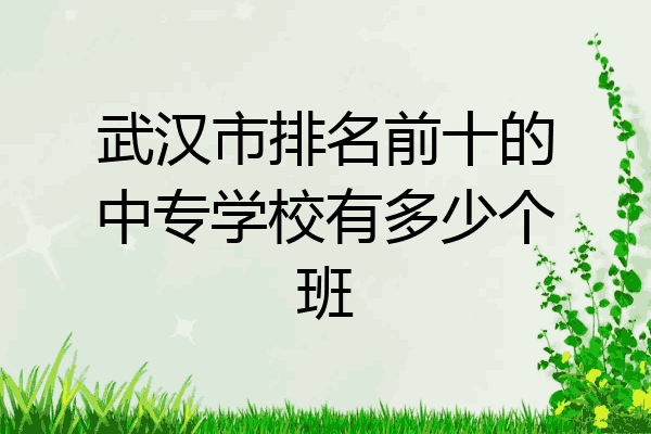 武汉市排名前十的中专学校有多少个班