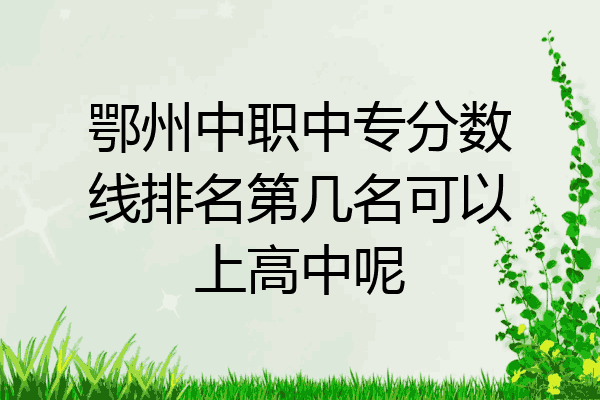 鄂州中职中专分数线排名第几名可以上高中呢