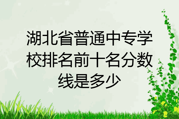 湖北省普通中专学校排名前十名分数线是多少