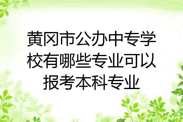 黄冈市公办中专学校有哪些专业可以报考本科专业