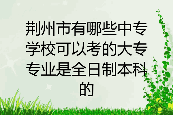 荆州市有哪些中专学校可以考的大专专业是全日制本科的