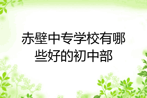 赤壁中专学校有哪些好的初中部