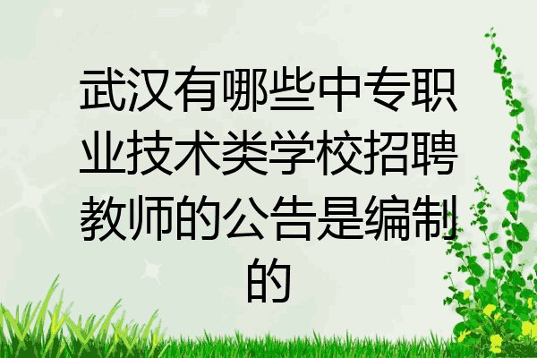 武汉有哪些中专职业技术类学校招聘教师的公告是编制的