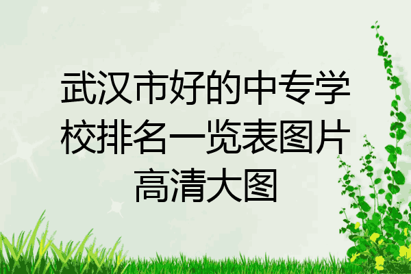 武汉市好的中专学校排名一览表图片高清大图