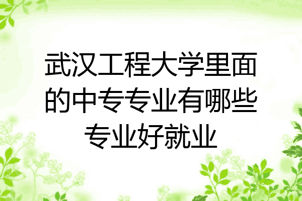 武汉工程大学里面的中专专业有哪些专业好就业