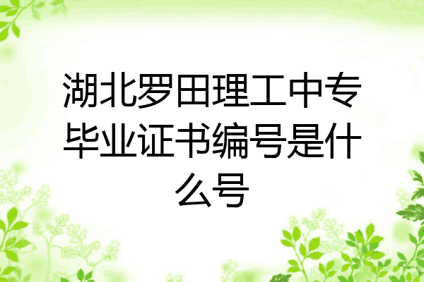 湖北罗田理工中专毕业证书编号是什么号