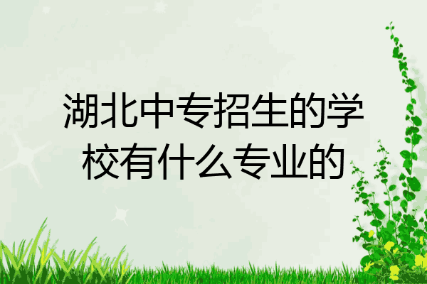 湖北中专招生的学校有什么专业的