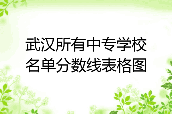 武汉所有中专学校名单分数线表格图