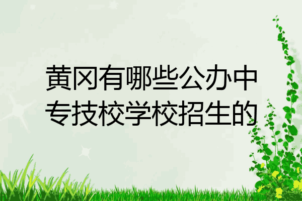 黄冈有哪些公办中专技校学校招生的