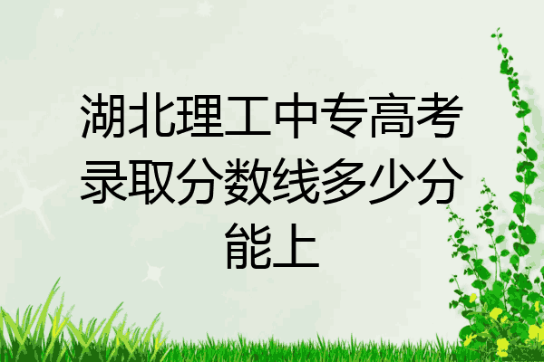 湖北理工中专高考录取分数线多少分能上