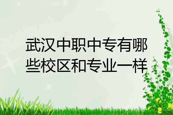 武汉中职中专有哪些校区和专业一样