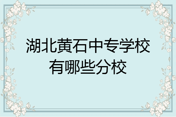 湖北黄石中专学校有哪些分校