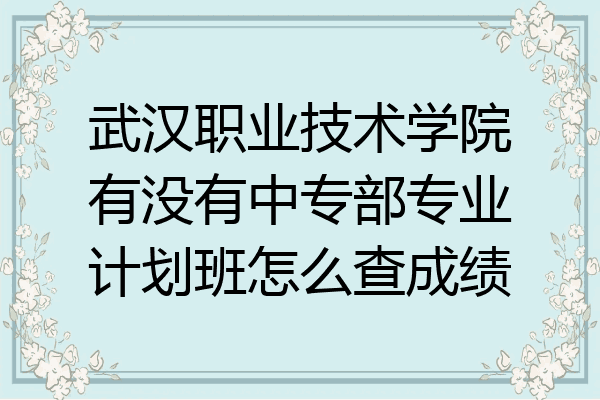 武汉职业技术学院有没有中专部专业计划班怎么查成绩