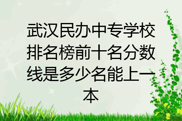 武汉民办中专学校排名榜前十名分数线是多少名能上一本