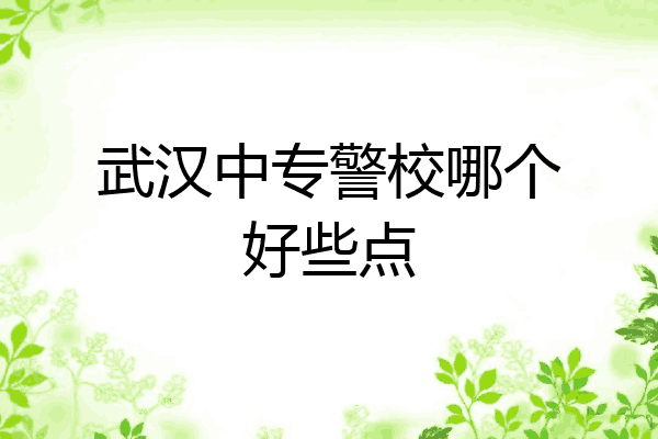 武汉中专警校哪个好些点