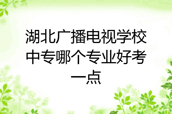 湖北广播电视学校中专哪个专业好考一点
