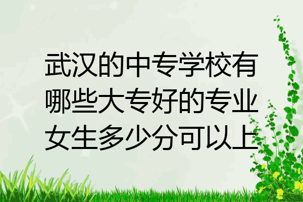 武汉的中专学校有哪些大专好的专业女生多少分可以上