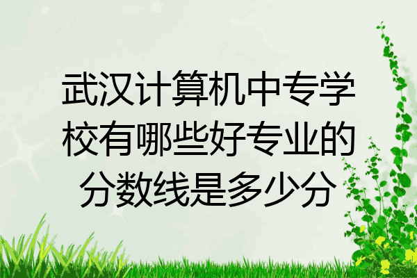 武汉计算机中专学校有哪些好专业的分数线是多少分