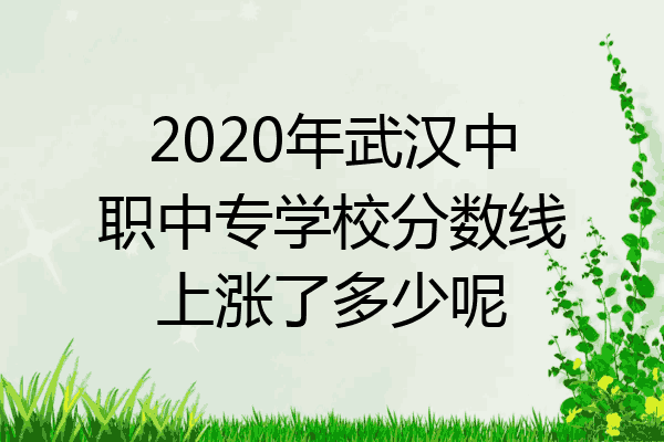 2020年武汉中职中专学校分数线上涨了多少呢