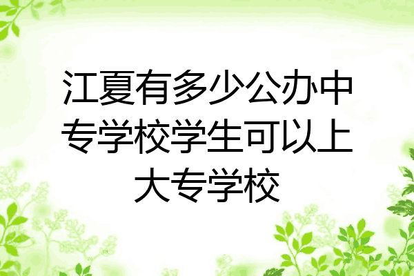 江夏有多少公办中专学校学生可以上大专学校