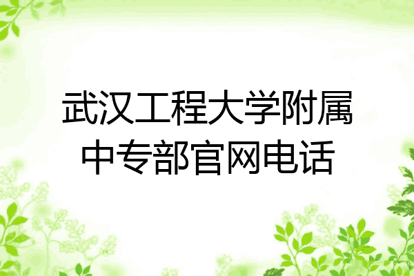 武汉工程大学附属中专部官网电话