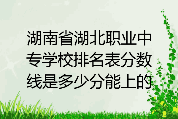 湖南省湖北职业中专学校排名表分数线是多少分能上的