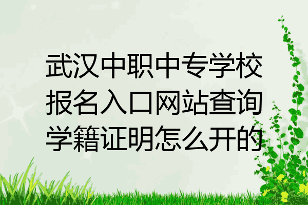 武汉中职中专学校报名入口网站查询学籍证明怎么开的