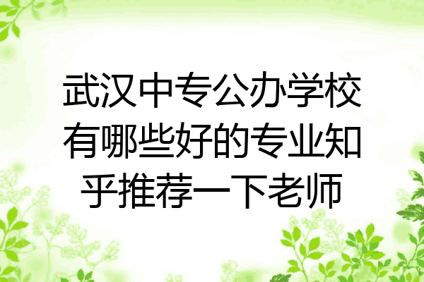 武汉中专公办学校有哪些好的专业知乎推荐一下老师