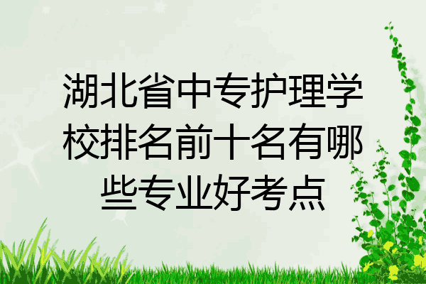 湖北省中专护理学校排名前十名有哪些专业好考点