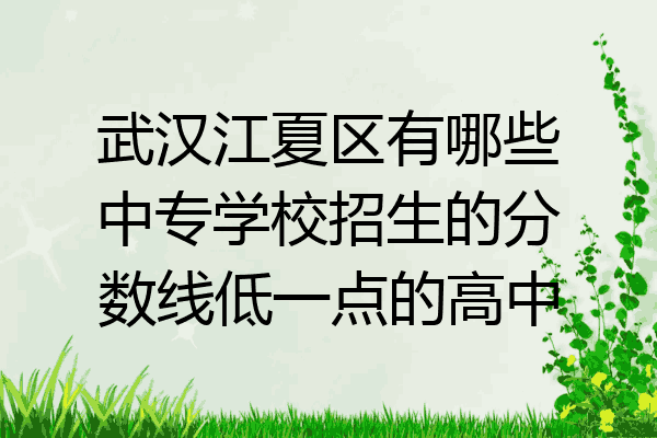 武汉江夏区有哪些中专学校招生的分数线低一点的高中