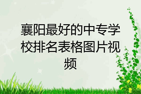 襄阳最好的中专学校排名表格图片视频