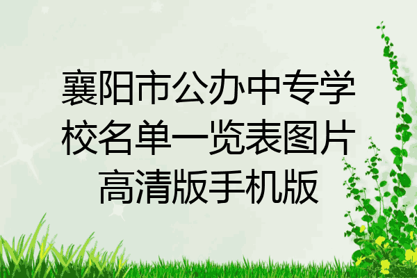襄阳市公办中专学校名单一览表图片高清版手机版